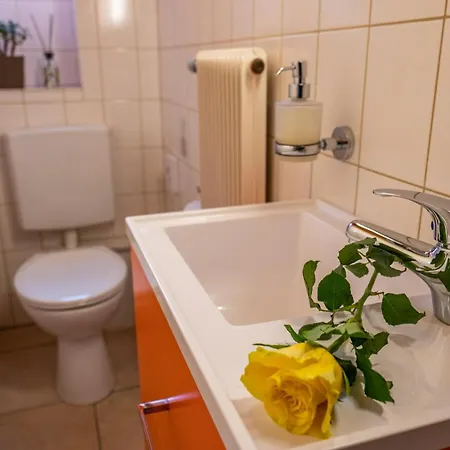 Dietsche * تودتناو